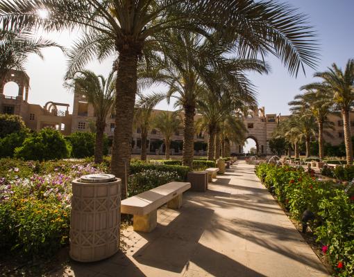 Career Center/ AUC
