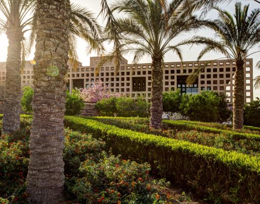 Career Center/ AUC